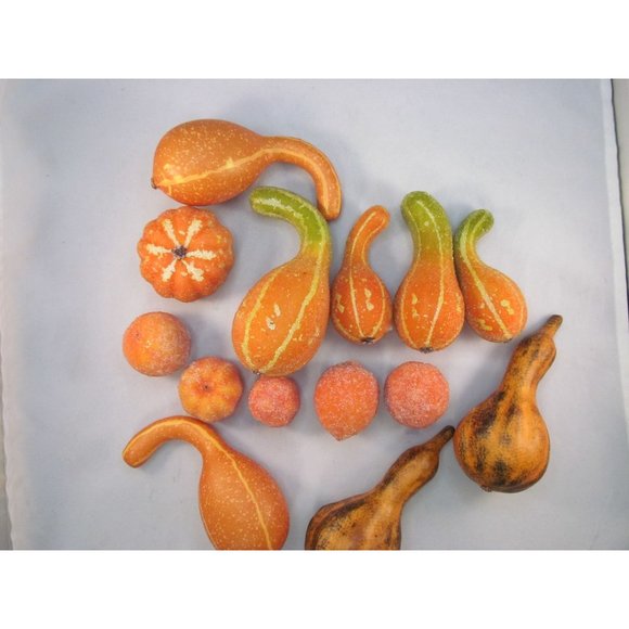 Variety of 14 Fall Decorative Artificial Pumpkins Squash Home Decor - Picture 8 of 12
